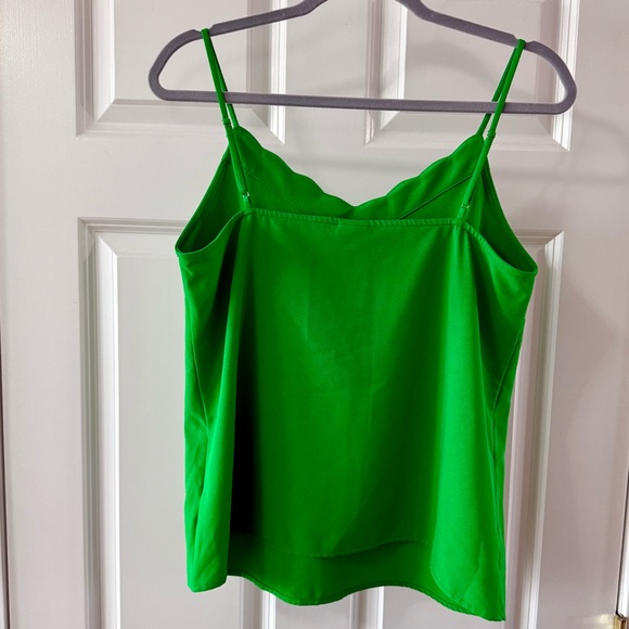 Pleione Green Fitted Camisole Top - Picture 4 of 6